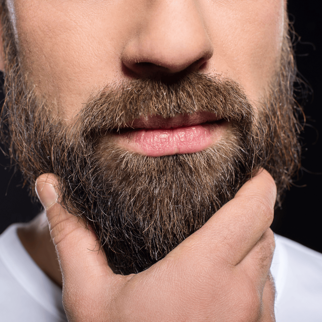 greffe barbe